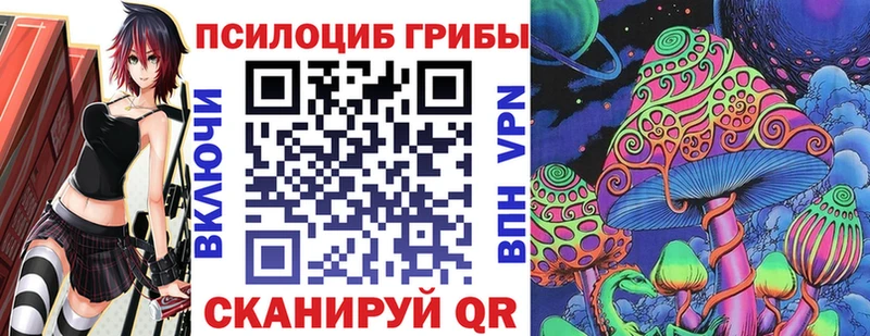 Псилоцибиновые грибы прущие грибы  где продают наркотики  Правдинск 